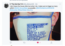 Load image into Gallery viewer, Fabric Face Mask: Liberal Conspiracy