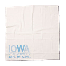 Load image into Gallery viewer, Iowa Vowels Kitchen Towel
