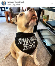 Load image into Gallery viewer, Extremely Attractive Dog Bandana
