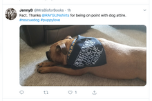 Load image into Gallery viewer, Extremely Attractive Dog Bandana
