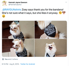 Load image into Gallery viewer, Extremely Attractive Dog Bandana
