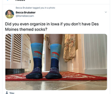 Load image into Gallery viewer, Travelers Colorized Socks - Red Umbrella
