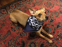 Load image into Gallery viewer, Chicago Doggo Dog Bandana
