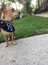 Load image into Gallery viewer, Chicago Doggo Dog Bandana
