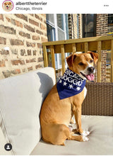 Load image into Gallery viewer, Chicago Doggo Dog Bandana
